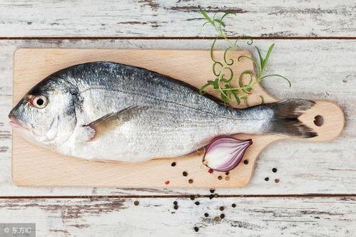 娱乐吃瓜鱼,揭秘娱乐圈那些不为人知的幕后故事 第1张 娱乐吃瓜鱼,揭秘娱乐圈那些不为人知的幕后故事 第1张